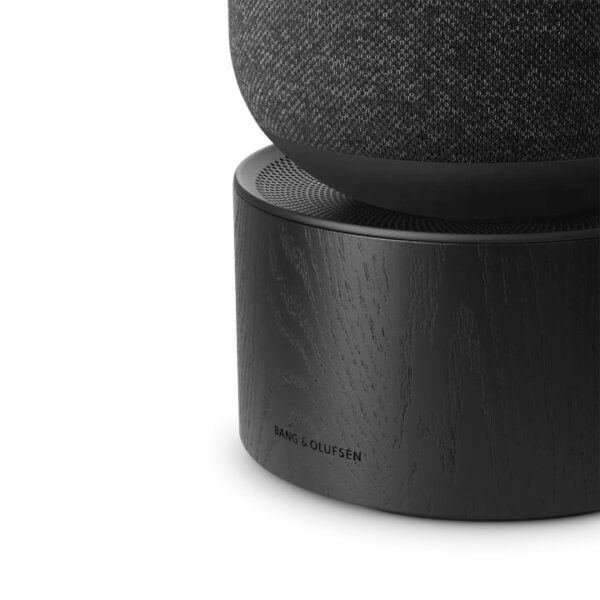 BANG & OLUFSEN Beosound Balance AL2 kolonėlė