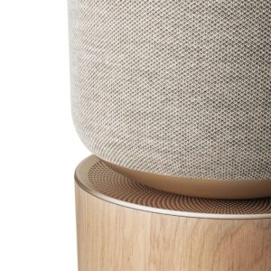BANG & OLUFSEN Beosound Balance AL2 kolonėlė