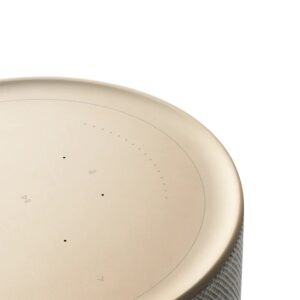 BANG & OLUFSEN Beosound Balance AL2 kolonėlė