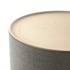 BANG & OLUFSEN Beosound Balance AL2 kolonėlė