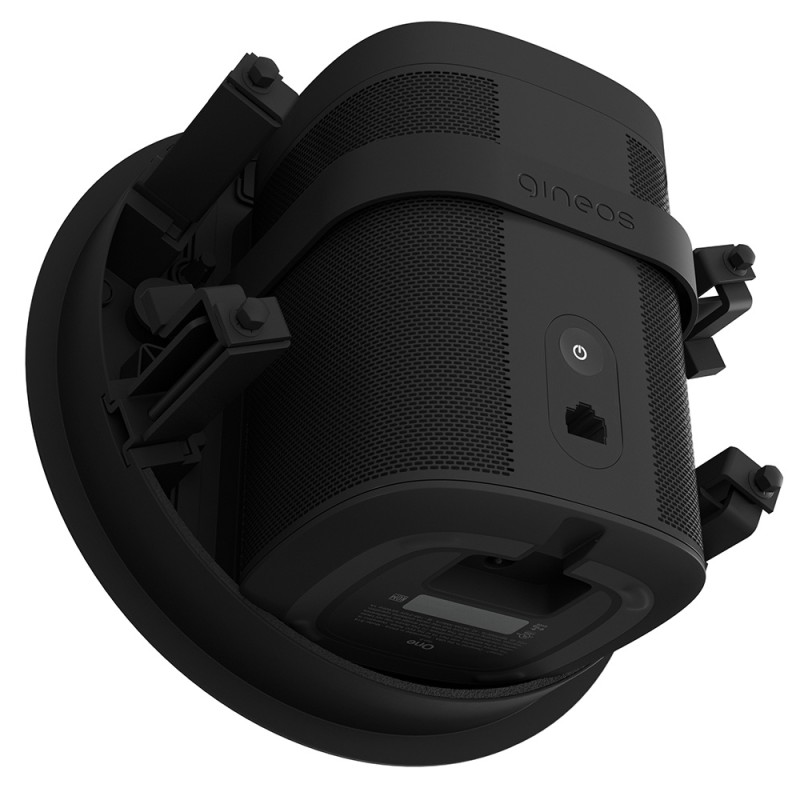 B-SYSTEM gineos Bluesound FLEX 2i kolonėlių montavimo dėžė