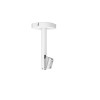 Cavus DH 150 CEILLING MOUNT lubinis laikiklis Home 150