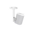 Cavus DH 150 CEILLING MOUNT lubinis laikiklis Home 150