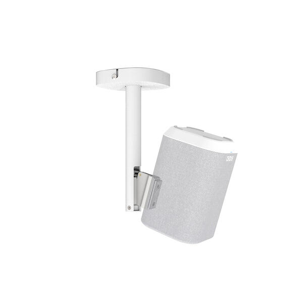 Cavus DH 150 CEILLING MOUNT lubinis laikiklis Home 150