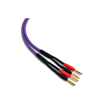 Melodika Purple Rain MDSC15 kolonėlių kabelių komplektas 2x1,5mm² su Banan tipo kištukais (nuo 1,5m)