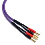 Melodika Purple Rain MDSC15 kolonėlių kabelių komplektas 2x1,5mm² su Banan tipo kištukais (nuo 1,5m)
