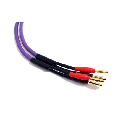 Melodika Purple Rain MDSC40 kolonėlių kabelių komplektas 2x4mm² su Banan tipo kištukais (nuo 1,5m)