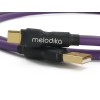 Melodika MDUAC USB 2.0 kabelis tipas A - C (kištukas) (nuo 0,3m)