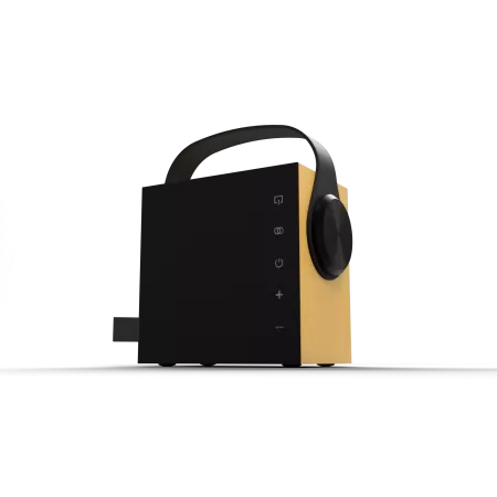 Morel Biggie belaidė garso kolonėlė su akumuliatoriumi ir Bluetooth, Golden Glow
