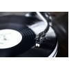Sumiko Phono Rainier MM tipo patefono galvutė