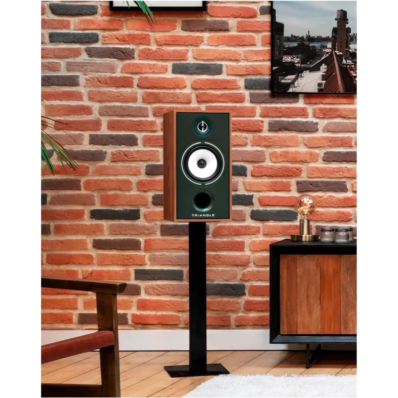 Triangle Borea BR04 Green lentyninės garso kolonėlės(pora), galingumas 110W