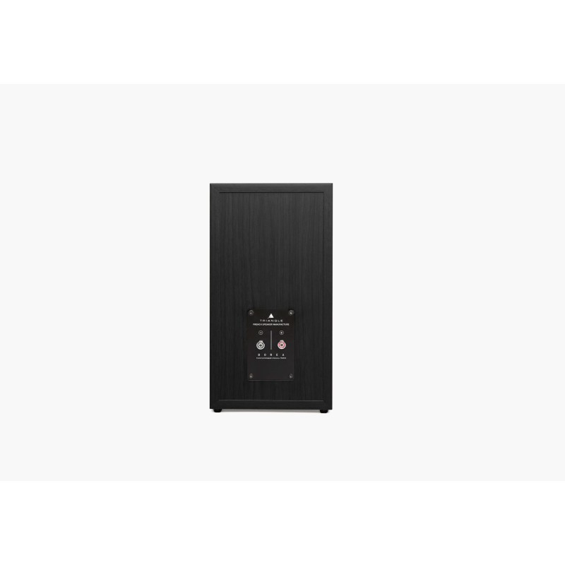 Triangle Borea BR03 lentyninės garso kolonėlės, galingumas 100W, kaina už 2 vnt