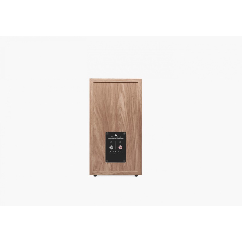 Triangle Borea BR03 lentyninės garso kolonėlės, galingumas 100W, kaina už 2 vnt