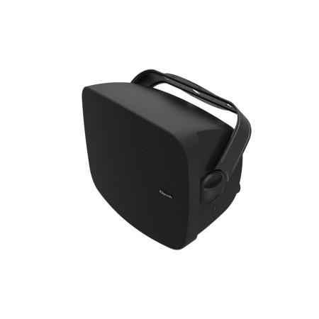 Klipsch PSM-450-T lauko sieninė kolonėlė