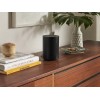 Sonos Era 100 išmani garso kolonėlė WiFi ir Bluetooth