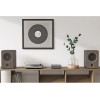 WiiM AMP Pro stereofoninis stiprintuvas 2x120W